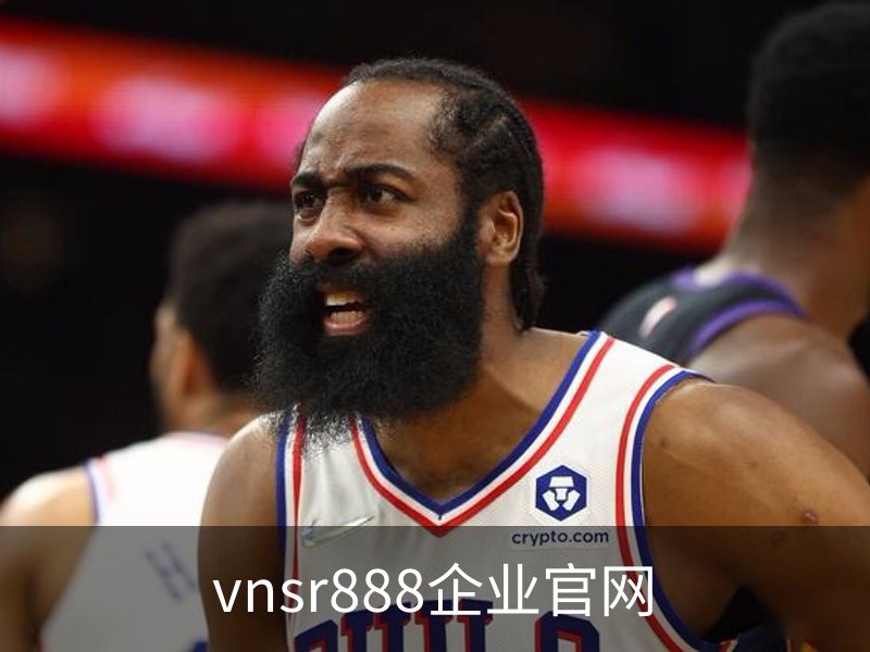vnsr888企业官网概况